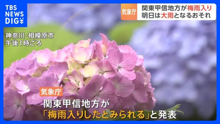 関東甲信地方が梅雨入り　平年より1日遅い　明日9日は雷伴う大雨のおそれ　土砂災害・河川増水に注意｜TBS NEWS DIG