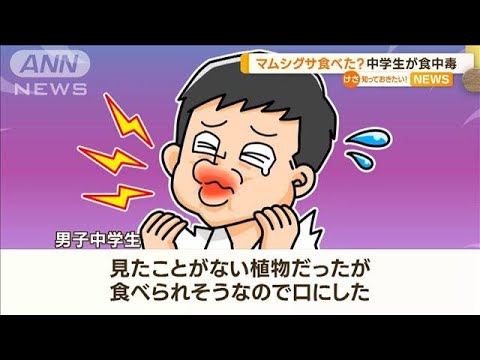 マムシグサ食べた中学生が食中毒知っておきたい(2023年6月23日)