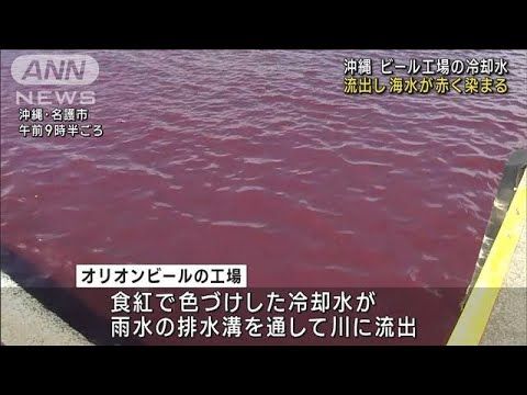 ビール工場の冷却水が流出海水が赤く染まる沖縄(2023年6月27日)