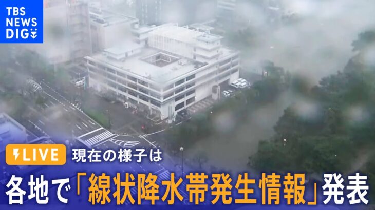 【台風2号・LIVE】高知県西部に「線状降水帯発生情報」発表  現在の様子（2023年6月2日）│TBS NEWS DIG