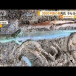 3000年以上前に作られた剣遺跡で発見今もきらめき埋葬時の贈り物かドイツ知っておきたい(2023年6月19日)