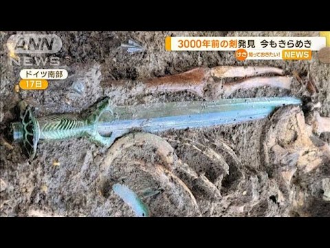 3000年以上前に作られた剣遺跡で発見今もきらめき埋葬時の贈り物かドイツ知っておきたい(2023年6月19日)