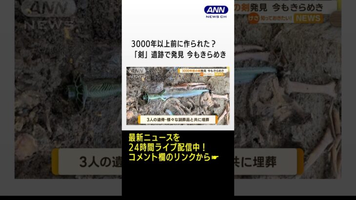 3000年以上前に作られた剣遺跡で発見今もきらめき埋葬時の贈り物かドイツ#shorts