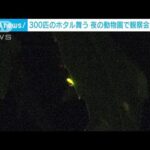 300匹のホタル舞う夜の動物園で観察会富山市(2023年6月17日)