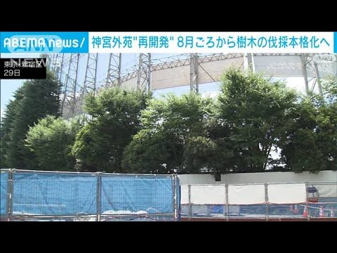 神宮外苑再開発3m以上の樹木8月ごろから本格的な伐採を開始(2023年6月29日)