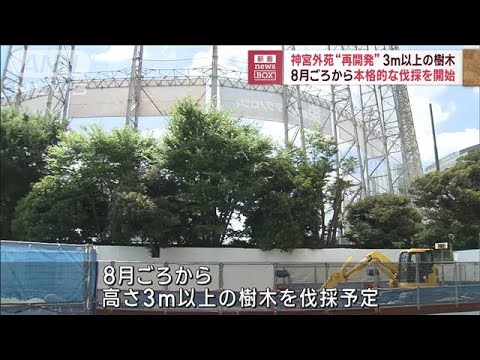 神宮外苑再開発3m以上の樹木8月ごろから本格的な伐採を開始(2023年6月29日)