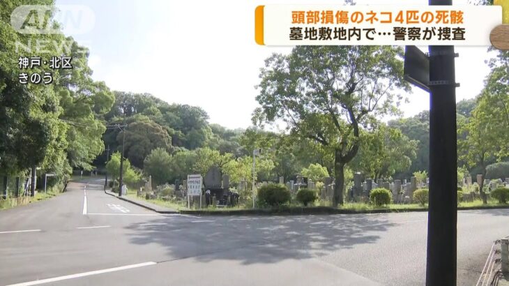 神戸 墓地で頭がつぶれたネコ4匹の死骸が見つかる(2023年6月14日)