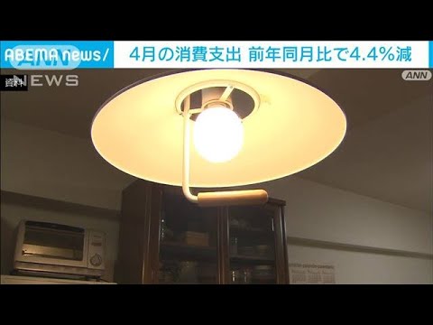 4月の消費支出 前年同月比で4.4％減　物価高 子ども費用にしわ寄せ(2023年6月6日)