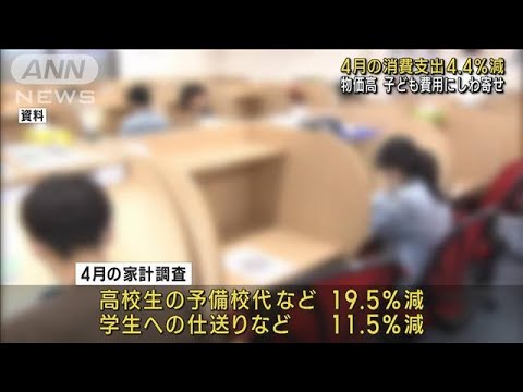 4月の消費支出 前年同月比で4.4％減　2カ月連続のマイナス(2023年6月6日)