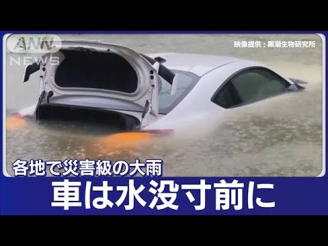 和歌山4市町に「緊急安全確保」　愛知など「線状降水帯」　関東も大雨(2023年6月2日)