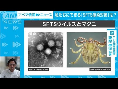 インフルで40よりきついどう防ぐ?マダニ媒介感染症社会部 栗原伸洋記者(2023年6月26日)