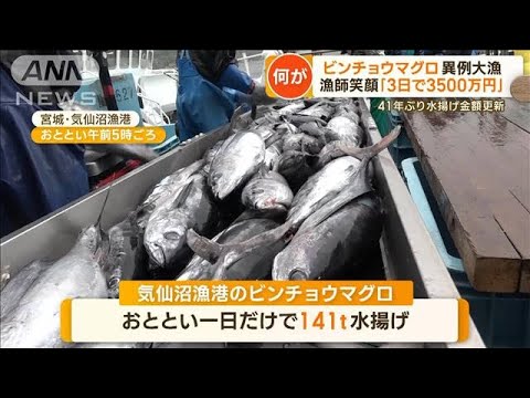 ビンチョウマグロ　41年ぶり大漁　漁師笑顔「3日で3500万円」　房総沖で“とり放題”【もっと知りたい！】(2023年6月9日)