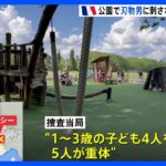 フランス・アルプスの公園で刃物男　子供4人含む5人が重体に　シリア国籍の男を現場近くで拘束｜TBS NEWS DIG