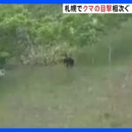 クマが4頭から5頭いるクマの目撃相次ぐ公園全面閉鎖も札幌市南区TBSNEWSDIG