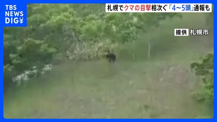 クマが4頭から5頭いるクマの目撃相次ぐ公園全面閉鎖も札幌市南区TBSNEWSDIG