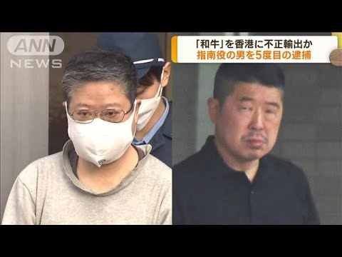 「和牛」不正輸出　指南役の男を5度目の逮捕(2023年6月8日)