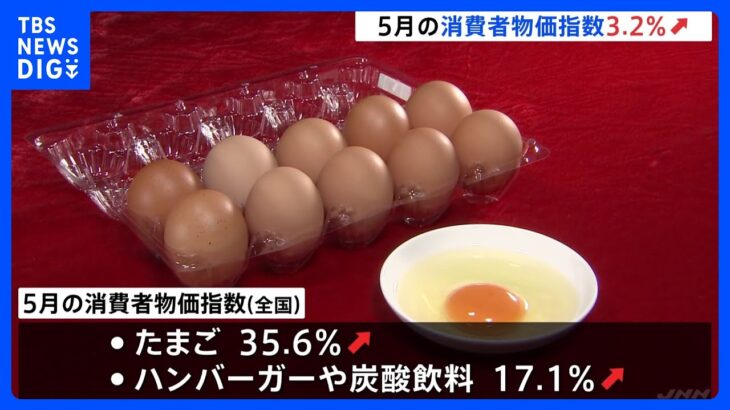 速報5月の全国消費者物価指数3.2上昇生鮮食品除く食料は47年ぶり歴史的上昇幅にTBSNEWSDIG