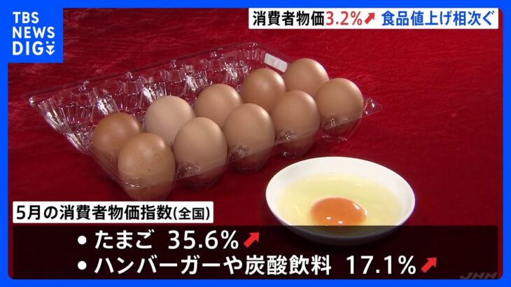 速報5月の全国消費者物価指数3.2上昇物価上昇1%程度抑制も食品やサービス価格の上昇が顕著にTBSNEWSDIG