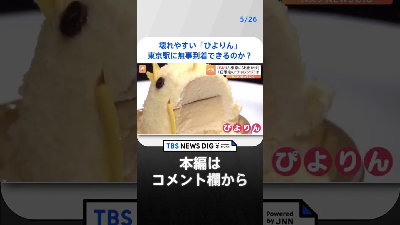 名古屋名物「ぴよりん」が新幹線で東京駅に！壊れやすいぴよりん…果たして無事に到着できるのか！？｜TBS NEWS DIG #shorts
