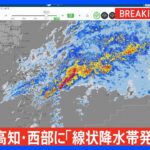 高知県西部に「線状降水帯発生情報」発表　大雨による水害や土砂災害などの危険度が急激に高まっているおそれ｜TBS NEWS DIG