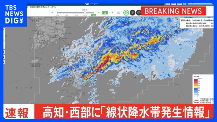 高知県西部に「線状降水帯発生情報」発表　大雨による水害や土砂災害などの危険度が急激に高まっているおそれ｜TBS NEWS DIG