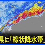 静岡県に「線状降水帯発生情報」発表　大雨による水害や土砂災害などの危険度が急激に高まっているおそれ｜TBS NEWS DIG