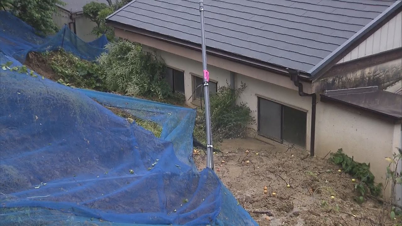 和歌山・みなべ町で梅農家の裏山が崩れ、土砂が民家の窓に迫る「梅の収穫直前で動揺しています」