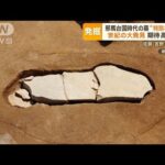 世紀の大発見？　吉野ケ里遺跡から…邪馬台国時代の墓　“特別な存在の人”眠る可能性(2023年6月5日)
