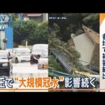 記録的大雨　各地で被害続出…埼玉“大規模冠水”影響続く　車に閉じ込められた男性も(2023年6月5日)