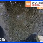 “膨大な油”“放置された爆薬” 日本の沈没船が及ぼす環境破壊への懸念　戦後80年…ミクロネシアの現状｜TBS NEWS DIG
