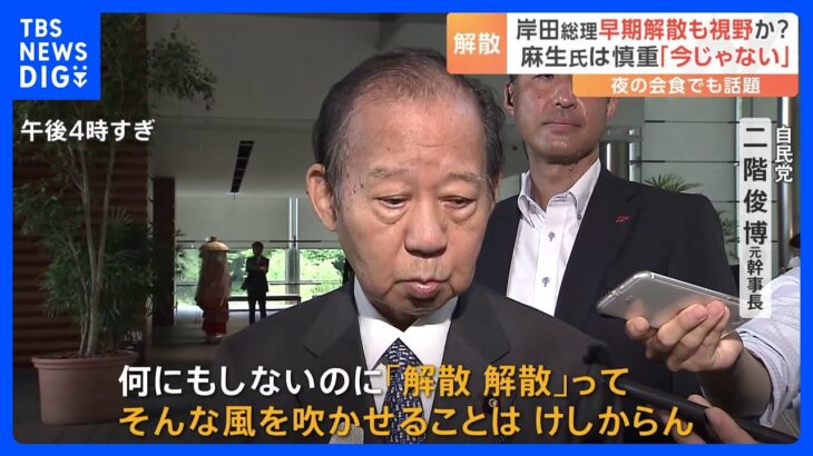 二階氏「解散風はけしからん」　早期解散説に自民党内では慎重論　国会会期末まで2週間｜TBS NEWS DIG