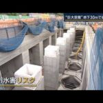 「一刻も早く水害軽減を」全国で高まる水害リスク…東京の地下で工事進む“巨大空間”(2023年6月8日)