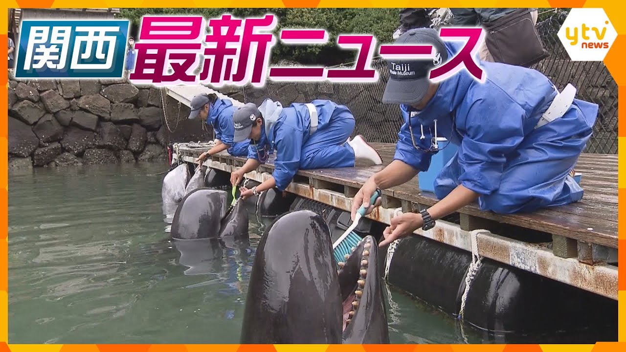 【ニュースライブ 6/6(火)】洗車ブラシでクジラの歯磨き/「女のふり」弁護士に殺害予告/異臭原因は貯水槽や下水道？　ほか【随時更新】