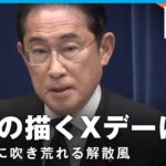 衆院解散岸田総理”少子化対策”会見で表明せずもXデーはいつに政治部 澤井尚子記者