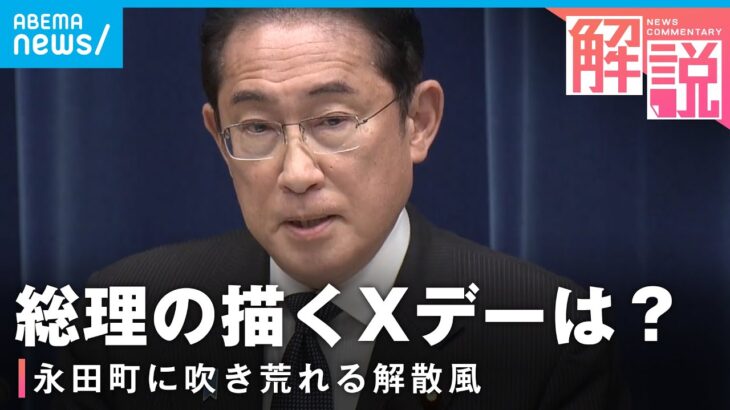 衆院解散岸田総理”少子化対策”会見で表明せずもXデーはいつに政治部 澤井尚子記者