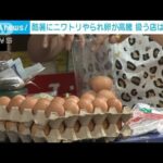 タイ 記録的暑さで卵の価格高騰市民の台所に打撃(2023年6月15日)