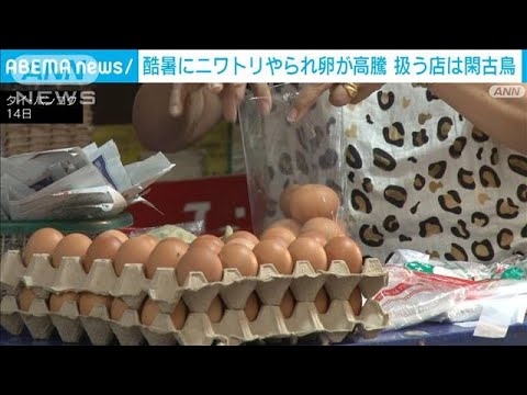 タイ 記録的暑さで卵の価格高騰市民の台所に打撃(2023年6月15日)