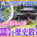 若一調査隊京都宇治の花の寺三室戸寺アジサイ園世界的造園家による庭園重文の仏像多様な魅力に触れる