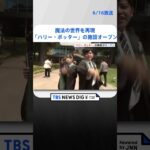 映画ハリーポッター魔法の世界を再現屋内型施設がきょうオープン東京としま園跡地にTBS NEWS DIG #shorts