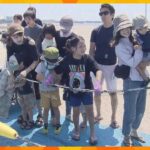 障害のある人も一緒に神戸須磨海岸で地引網の体験会車椅子が動けるよう砂浜の上には特殊なマット