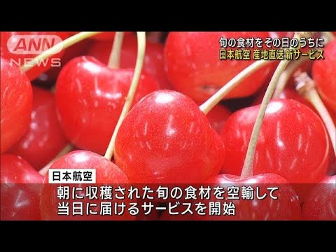 旬の食材をその日のうちに日本航空が産地直送新サービス(2023年6月19日)