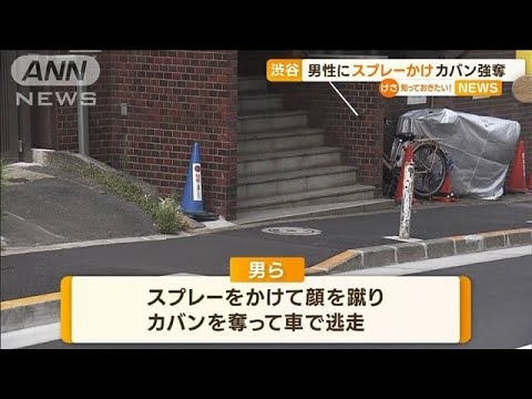 渋谷男性にスプレーかけカバン強奪知っておきたい(2023年6月20日)