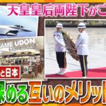 タカオカ解説経済的にも軍事的にも最重要両陛下ご訪問中のインドネシアと日本がお互いに仲良くしておきたい本当の理由