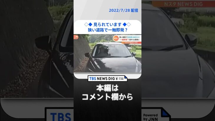 狭い道で一触即発向こうから拳を上げるジェスチャーが見えた #shorts TBS NEWS DIG