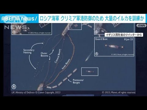 ロシア軍が敵襲防御用のイルカを飼育か軍港衛星画像で分析(2023年6月24日)