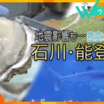 夏休み観光本格化国内旅行の注目は東北豊富な観光資源の石川能登半島震度強からカ月復活なるか