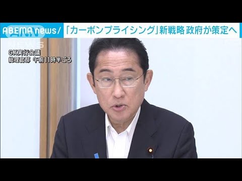 カーボンプライシング新戦略策定へ政府来月中にとりまとめ(2023年6月27日)