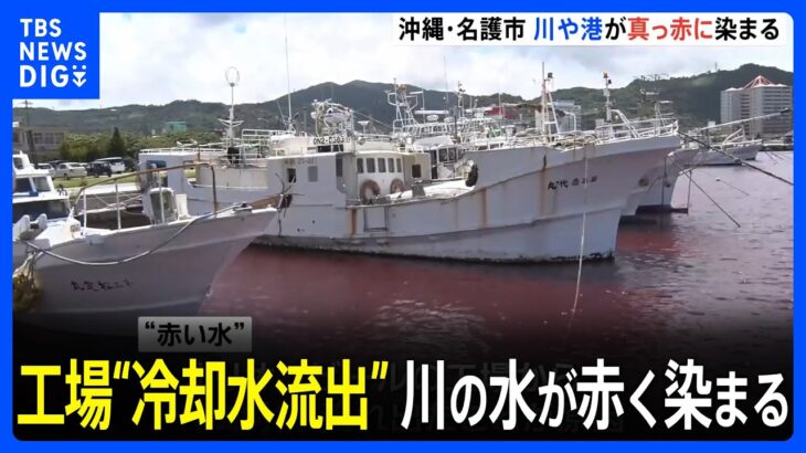 真っ赤に染まった川ビール工場の冷却水流出が原因食紅着色で人体には無害TBSNEWSDIG