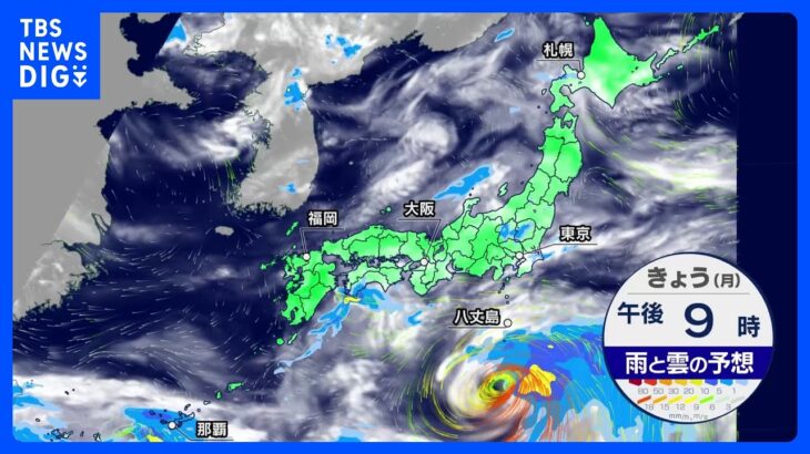 【6月12日 今日の天気】台風3号 今夜 伊豆諸島に接近　本州付近は本格的な梅雨シーズンに｜TBS NEWS DIG