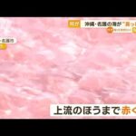 沖縄名護の海が真っ赤に原因はオリオンビール工場から着色した冷却水が流出知っておきたい(2023年6月28日)